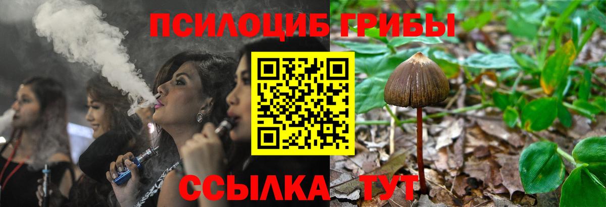 Курчатов  Псилоцибиновые грибы MAGIC MUSHROOMS  Вход с VPN  Псилоцибиновые грибы мухоморы 